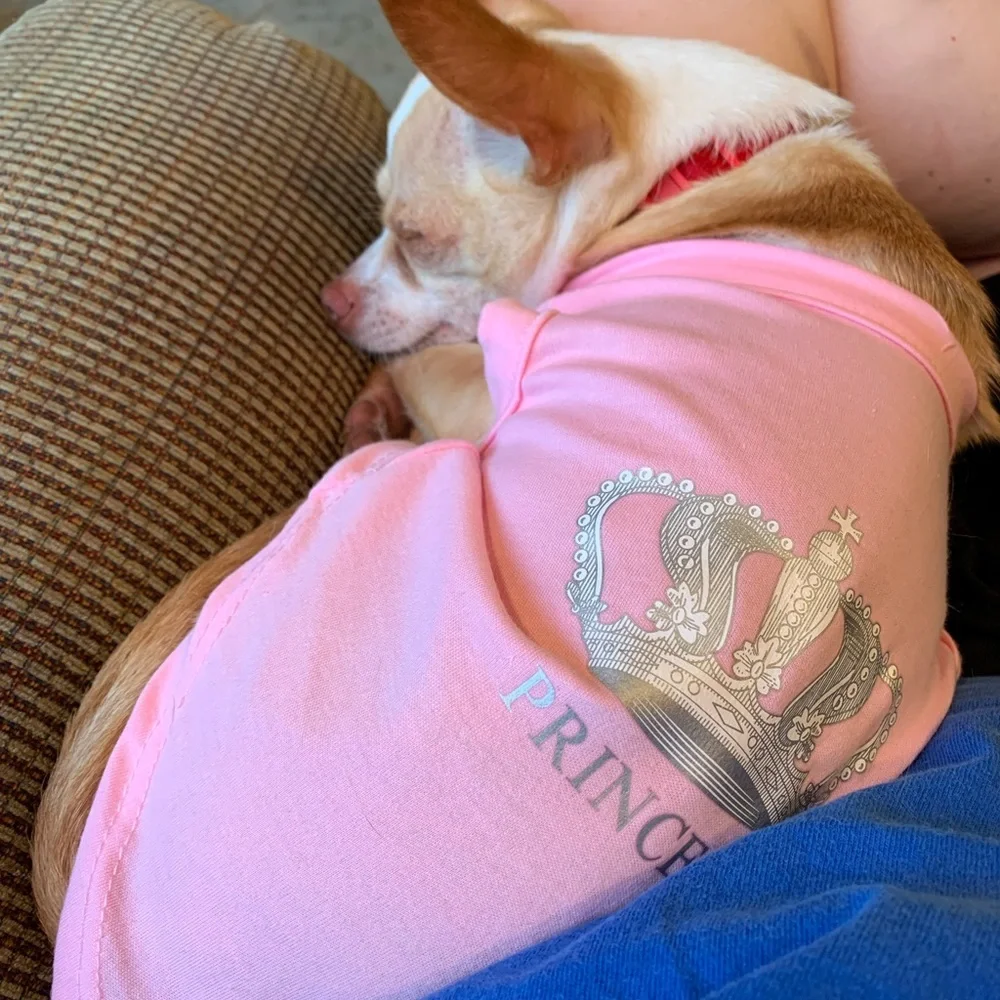 Expawlorer Small Princess T Shirt‎